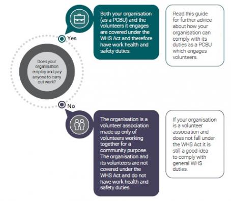 Does your organisation employ or ay anyone to carry out work - Volunteer information sheet graphic