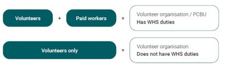 Who is considered to be a volunteer graphic